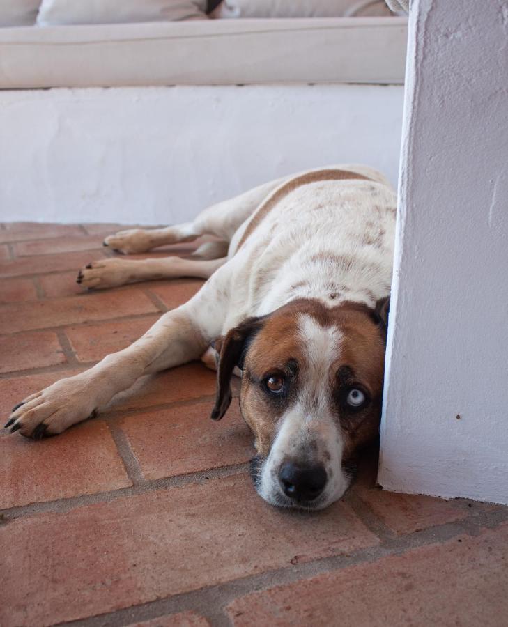 Sharish - Monte Das Estevas Estremoz Exterior foto
