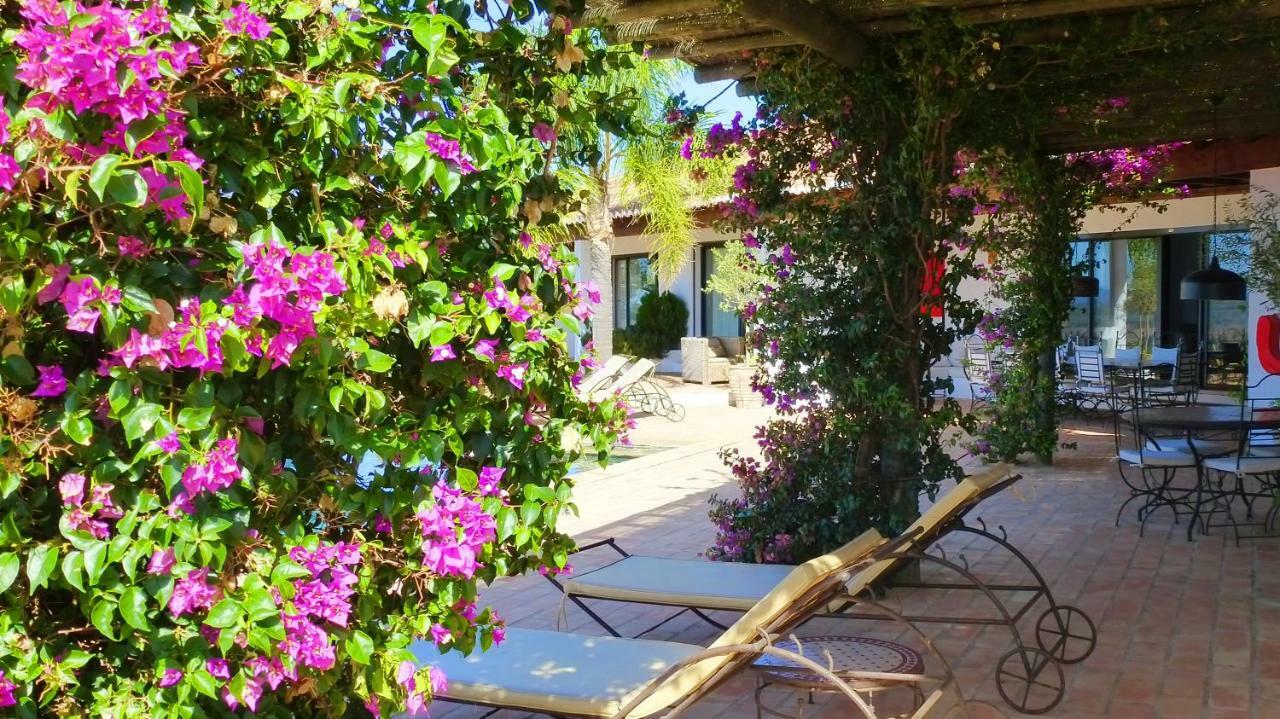 Sharish - Monte Das Estevas Estremoz Exterior foto