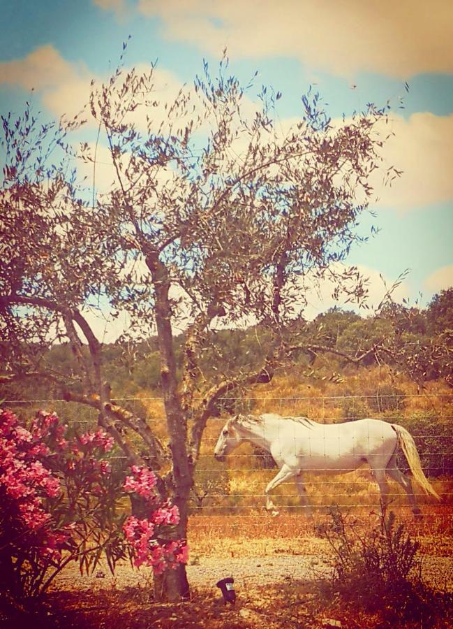 Sharish - Monte Das Estevas Estremoz Exterior foto