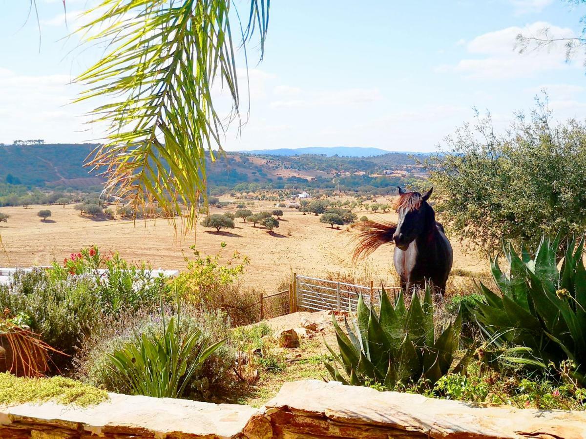 Sharish - Monte Das Estevas Estremoz Exterior foto